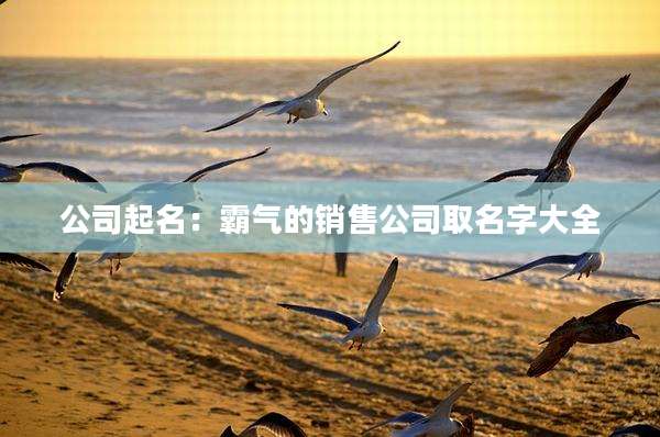 公司起名：霸气的销售公司取名字大全