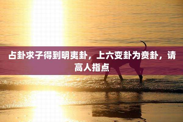 占卦求子得到明夷卦,上六变卦为贲卦,请高人指点