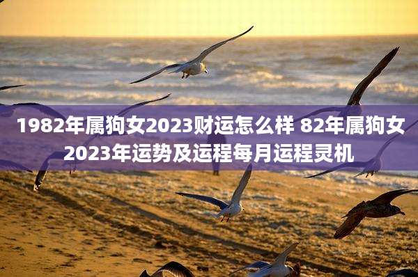 1982年属狗女2023财运怎么样 82年属狗女2023年运势及运程每月运程灵机