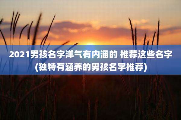 2021男孩名字洋气有内涵的 推荐这些名字(独特有涵养的男孩名字推荐)