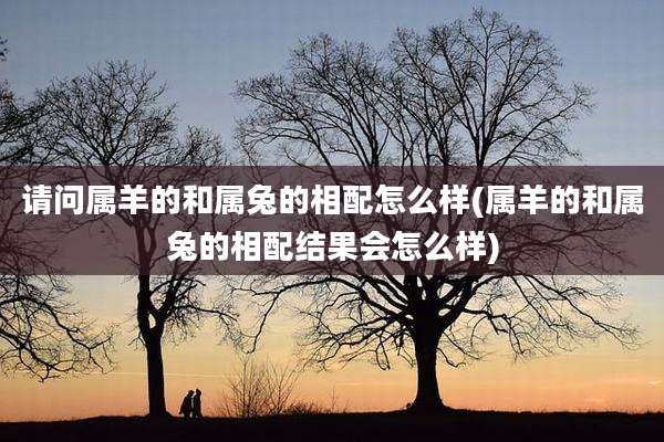 请问属羊的和属兔的相配怎么样(属羊的和属兔的相配结果会怎么样)