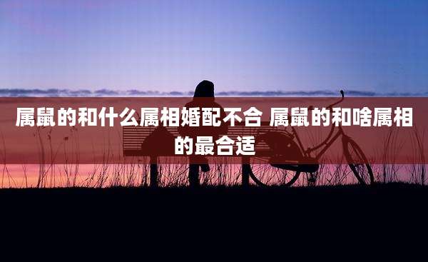 属鼠的和什么属相婚配不合 属鼠的和啥属相的最合适