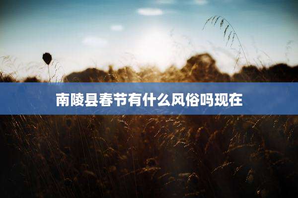 南陵县春节有什么风俗吗现在