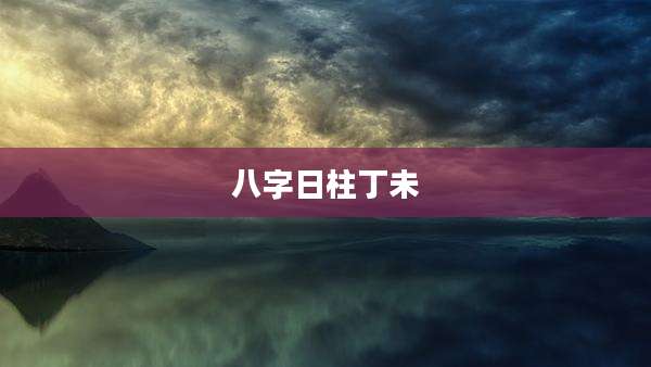 八字日柱丁未