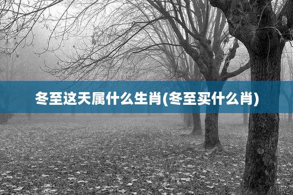 冬至这天属什么生肖(冬至买什么肖)