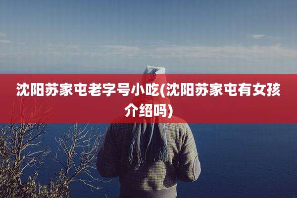 沈阳苏家屯老字号小吃(沈阳苏家屯有女孩介绍吗)