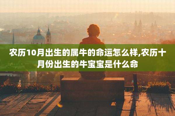 农历10月出生的属牛的命运怎么样,农历十月份出生的牛宝宝是什么命
