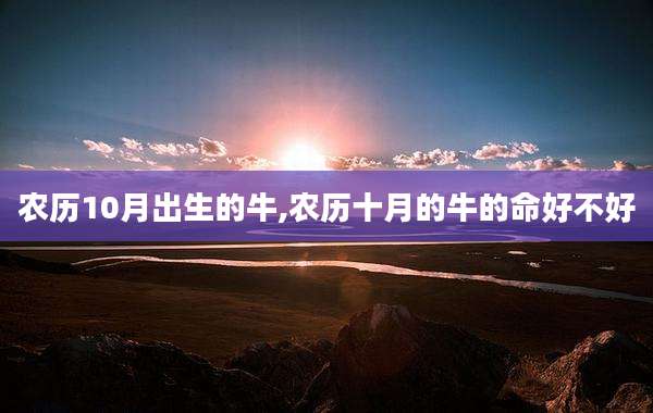 农历10月出生的牛,农历十月的牛的命好不好