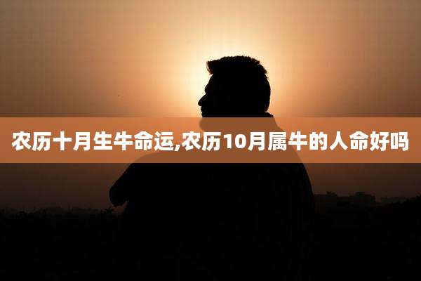 农历十月生牛命运,农历10月属牛的人命好吗