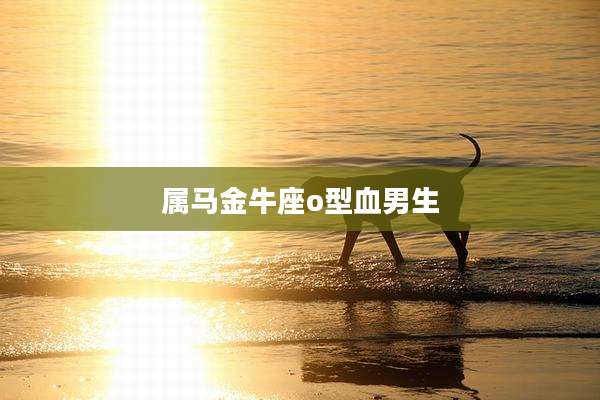 属马金牛座o型血男生