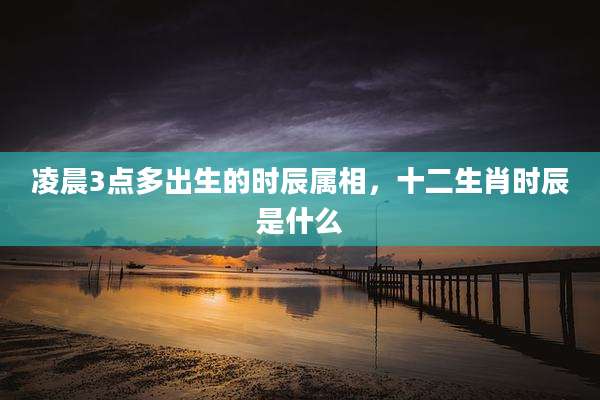 凌晨3点多出生的时辰属相,十二生肖时辰是什么