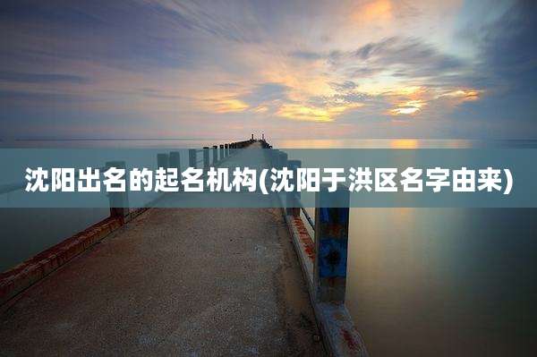 沈阳出名的起名机构(沈阳于洪区名字由来)
