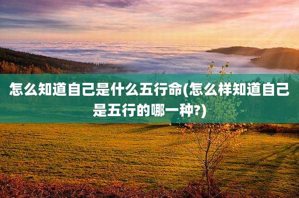 怎么知道自己是什么五行命(怎么样知道自己是五行的哪一种?)