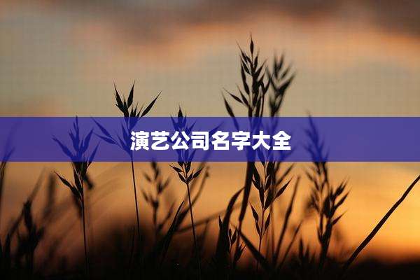 演艺公司名字大全