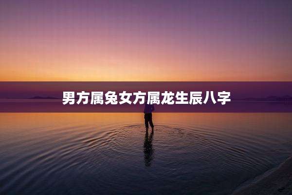 男方属兔女方属龙生辰八字
