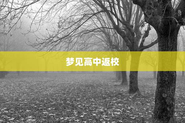 梦见高中返校