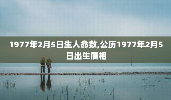 1977年2月5日生人命数,公历1977年2月5日出生属相