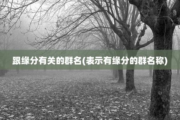 跟缘分有关的群名(表示有缘分的群名称)