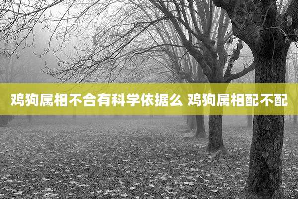 鸡狗属相不合有科学依据么 鸡狗属相配不配