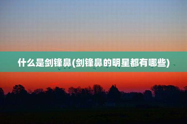 什么是剑锋鼻(剑锋鼻的明星都有哪些)