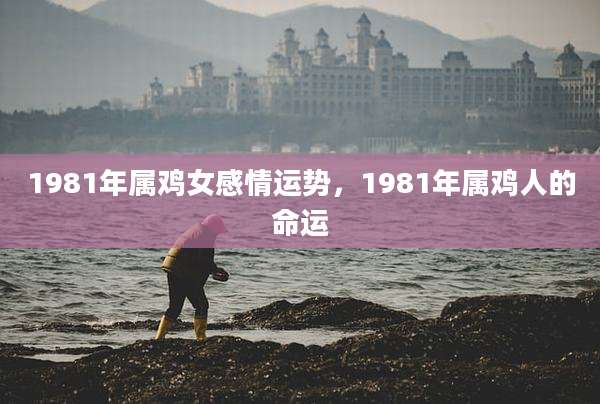 1981年属鸡女感情运势，1981年属鸡人的命运