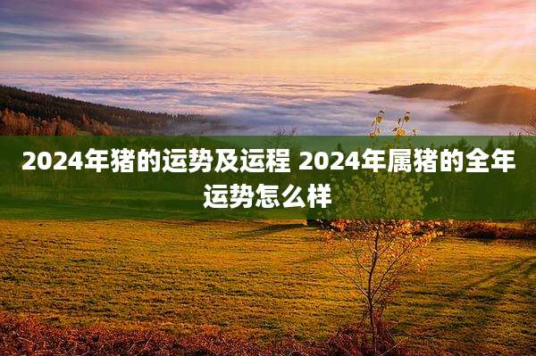2024年猪的运势及运程 2024年属猪的全年运势怎么样