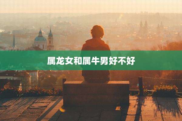 属龙女和属牛男好不好