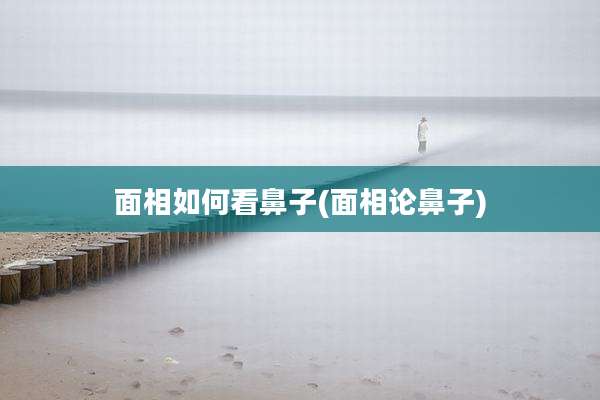 面相如何看鼻子(面相论鼻子)