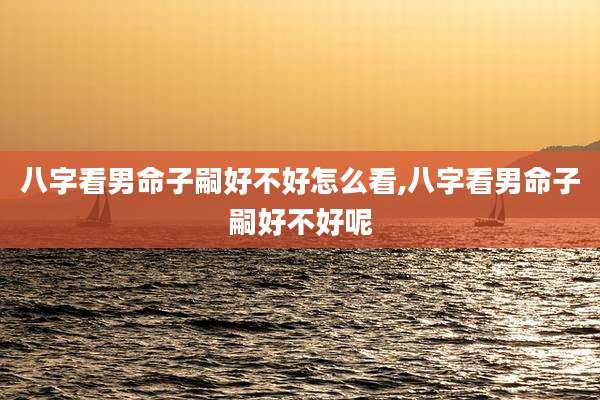八字看男命子嗣好不好怎么看,八字看男命子嗣好不好呢