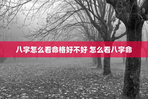八字怎么看命格好不好 怎么看八字命