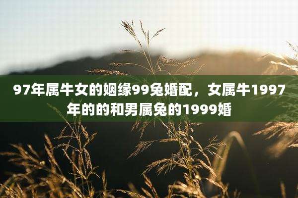 97年属牛女的姻缘99兔婚配，女属牛1997年的的和男属兔的1999婚