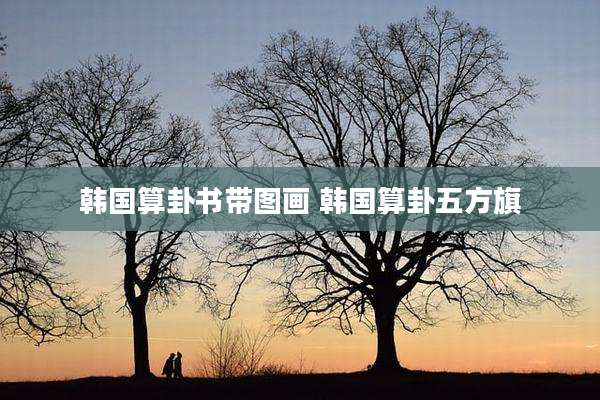 韩国算卦书带图画 韩国算卦五方旗