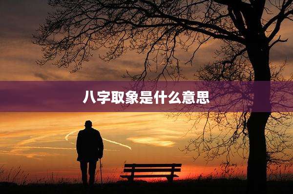 八字取象是什么意思