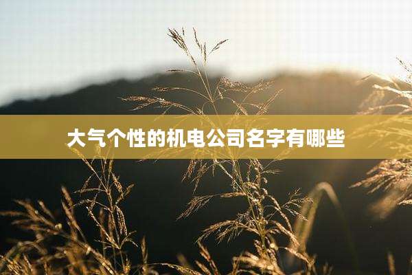大气个性的机电公司名字有哪些