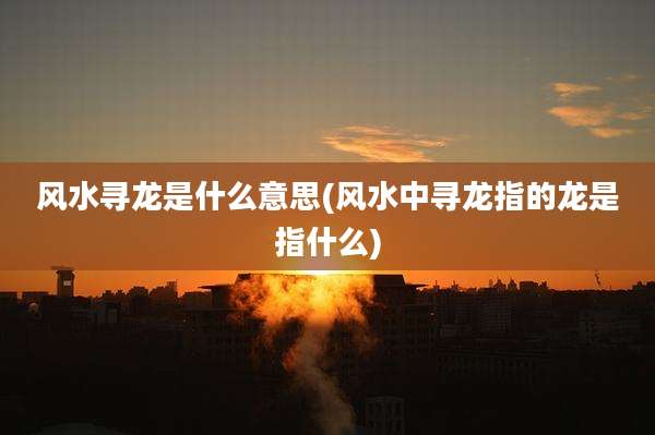 风水寻龙是什么意思(风水中寻龙指的龙是指什么)