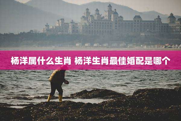 杨洋属什么生肖 杨洋生肖最佳婚配是哪个