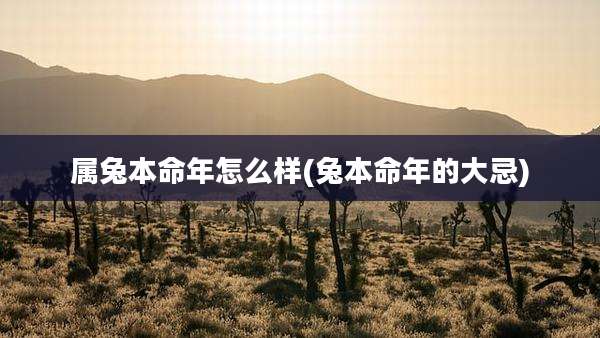 属兔本命年怎么样(兔本命年的大忌)