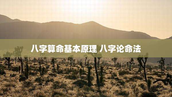 八字算命基本原理 八字论命法