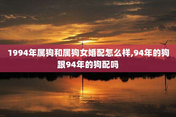 1994年属狗和属狗女婚配怎么样,94年的狗跟94年的狗配吗