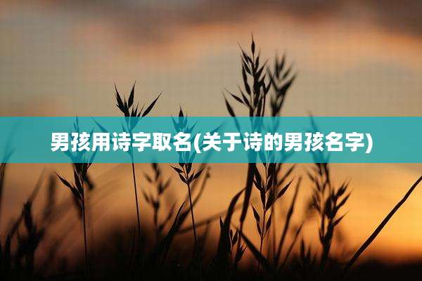 男孩用诗字取名(关于诗的男孩名字)