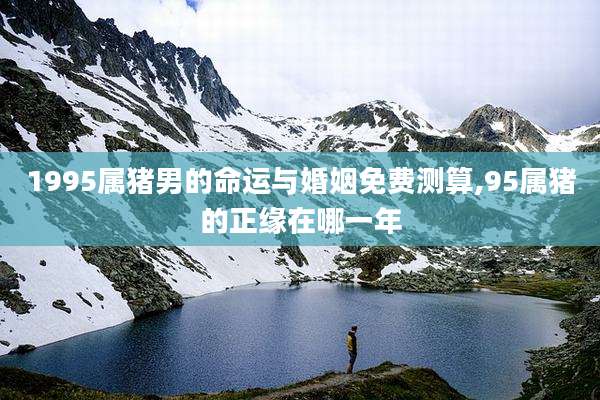 1995属猪男的命运与婚姻免费测算,95属猪的正缘在哪一年