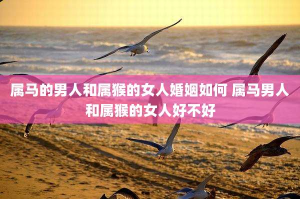 属马的男人和属猴的女人婚姻如何 属马男人和属猴的女人好不好
