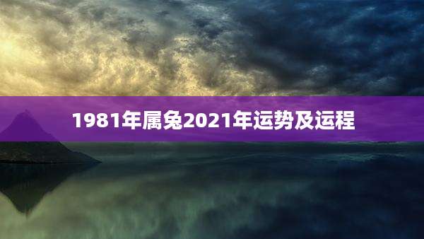 1981年属兔2021年运势及运程
