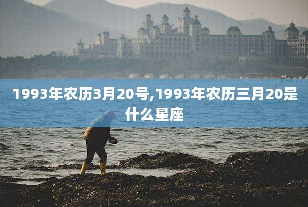 1993年农历3月20号,1993年农历三月20是什么星座