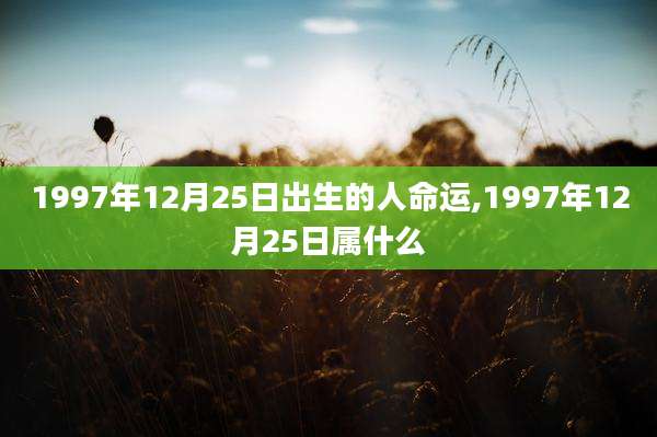 1997年12月25日出生的人命运,1997年12月25日属什么