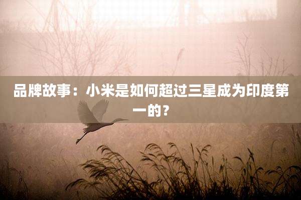 品牌故事：小米是如何超过三星成为印度第一的？