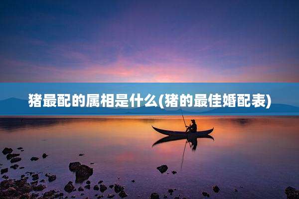 猪最配的属相是什么(猪的最佳婚配表)