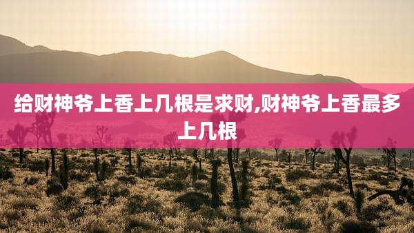 给财神爷上香上几根是求财,财神爷上香最多上几根
