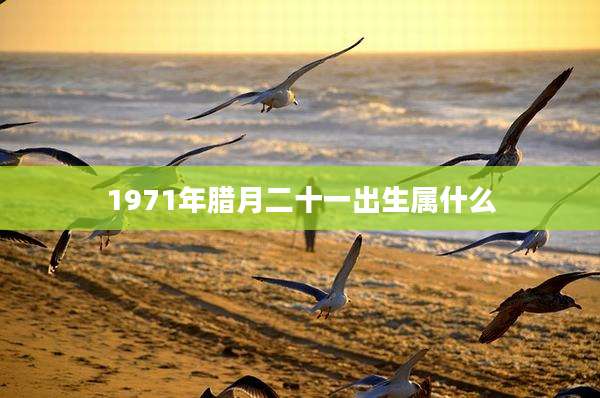 1971年腊月二十一出生属什么