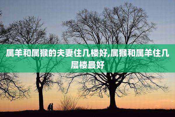 属羊和属猴的夫妻住几楼好,属猴和属羊住几层楼最好